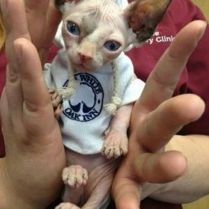 Meet your Posher, Heather